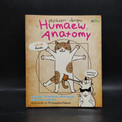 คู่มือใช้เหมียวเฟี้ยวสุดๆ Humaew Anatomy รูปที่ 1