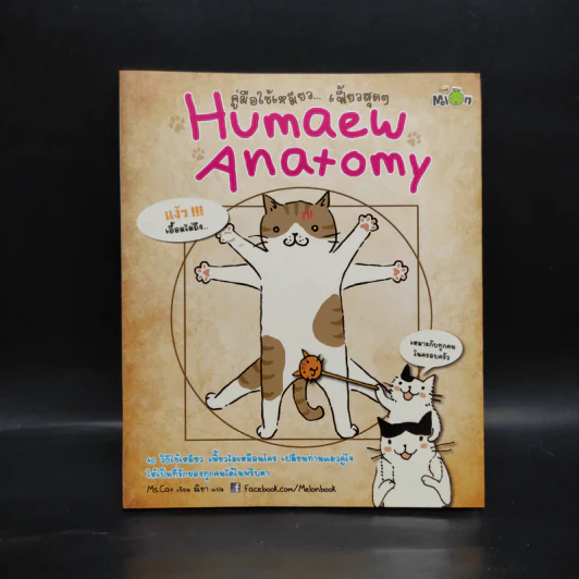 คู่มือใช้เหมียวเฟี้ยวสุดๆ Humaew Anatomy รูปที่ 1