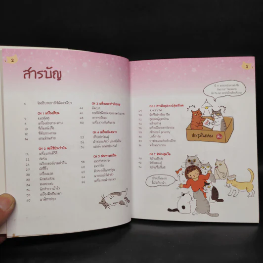 คู่มือใช้เหมียวเฟี้ยวสุดๆ Humaew Anatomy รูปที่ 5