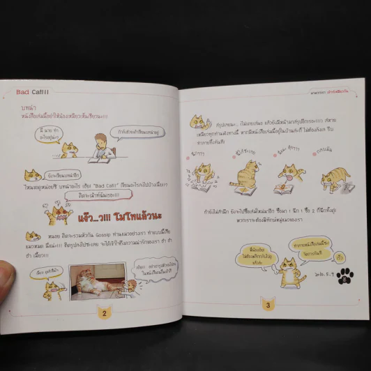 Bad Cat!!! มาพวกเรา เม้าท์เหมียวกัน - Ms.Cat รูปที่ 6
