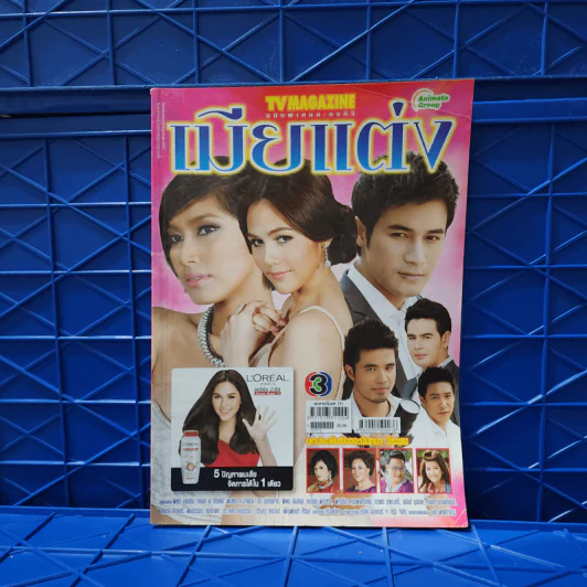 เมียแต่ง เรื่องย่อละคร ทีวีแม็กกาซีน รูปที่ 1