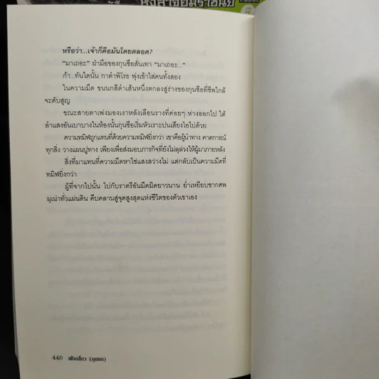 หงสาจอมราชันย์ ภาคพิเศษ เล่ม 1-8 (รวม 9 เล่ม) - Wang Yi Xing (หวังอี๋ซิง) รูปที่ 7
