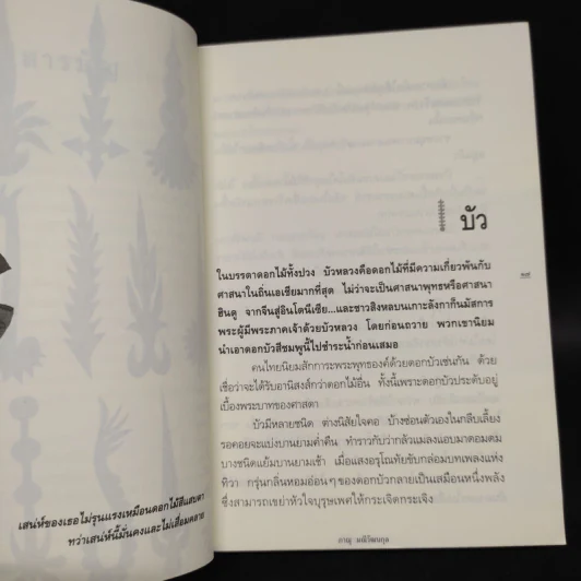 อารมณ์ดอกไม้ - ภาณุ มณีวัฒนกุล รูปที่ 7