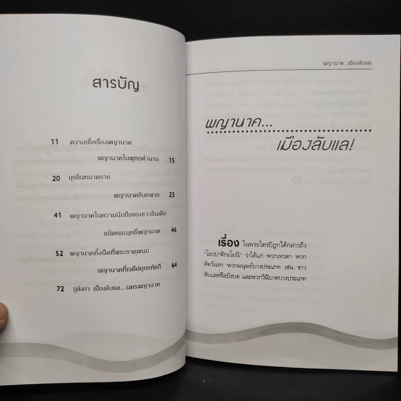 พญานาค...เมืองลับแล! - นรเศรษฐ์ รูปที่ 6