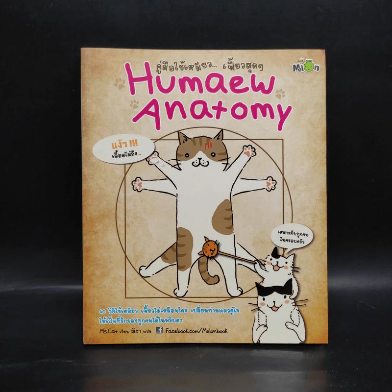 คู่มือใช้เหมียวเฟี้ยวสุดๆ Humaew Anatomy รูปที่ 1
