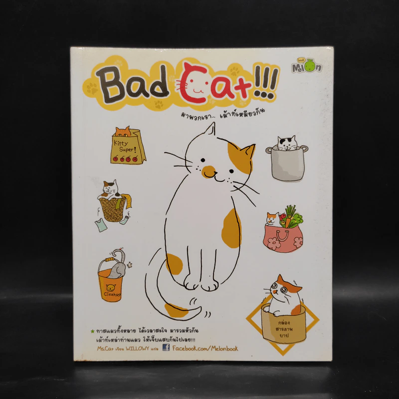 Bad Cat!!! มาพวกเรา เม้าท์เหมียวกัน - Ms.Cat รูปที่ 1