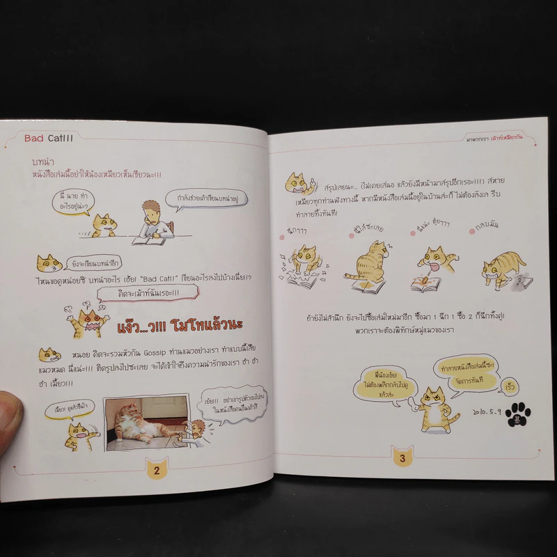 Bad Cat!!! มาพวกเรา เม้าท์เหมียวกัน - Ms.Cat รูปที่ 6