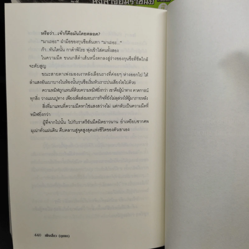 หงสาจอมราชันย์ ภาคพิเศษ เล่ม 1-8 (รวม 9 เล่ม) - Wang Yi Xing (หวังอี๋ซิง) รูปที่ 7