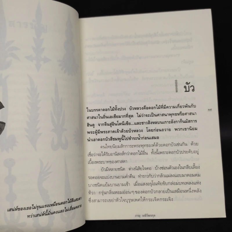 อารมณ์ดอกไม้ - ภาณุ มณีวัฒนกุล รูปที่ 7