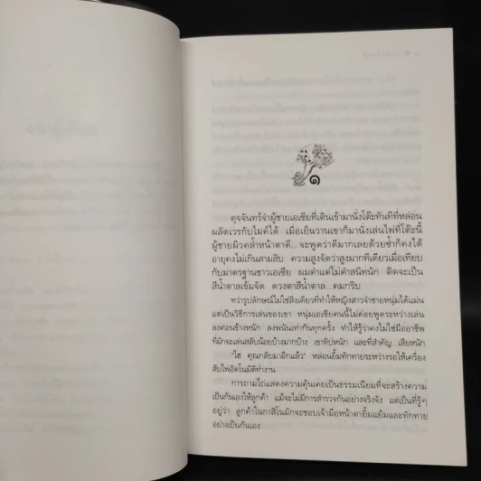 ลำนำจันทร์ - กิ่งฉัตร รูปที่ 6