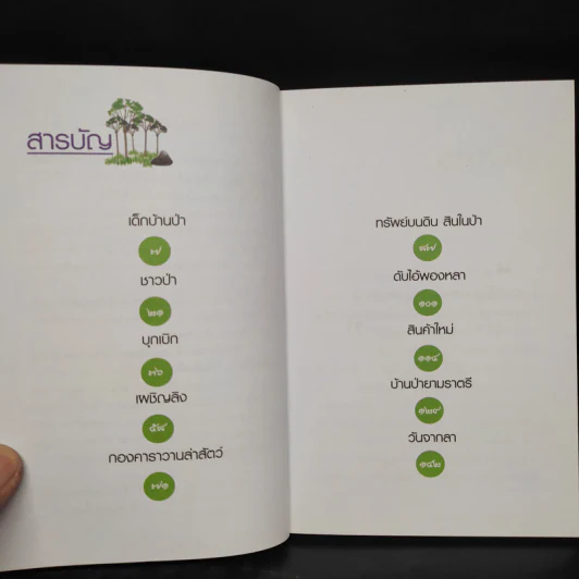 เด็กบ้านป่า - ฉลอง เจยาคม รูปที่ 6