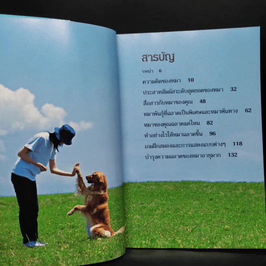 คู่มือฝึกหมาขั้นเทพ - เดวิด เทย์เลอร์ รูปที่ 5
