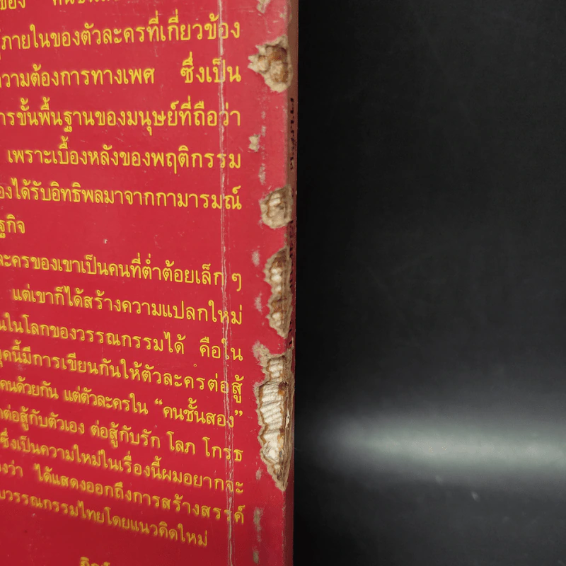 คนชั้นสอง - เริงศักดิ์ กำธร รูปที่ 8