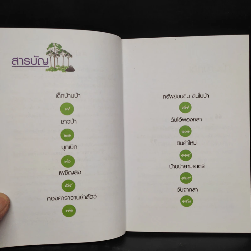 เด็กบ้านป่า - ฉลอง เจยาคม รูปที่ 6