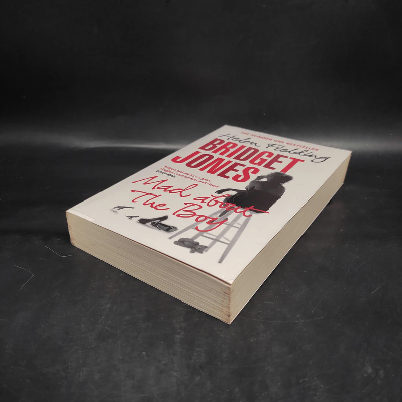 Mad About The Boy - Bridget Jones รูปที่ 4