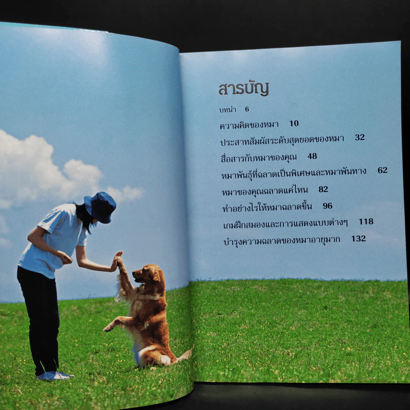 คู่มือฝึกหมาขั้นเทพ - เดวิด เทย์เลอร์ รูปที่ 5