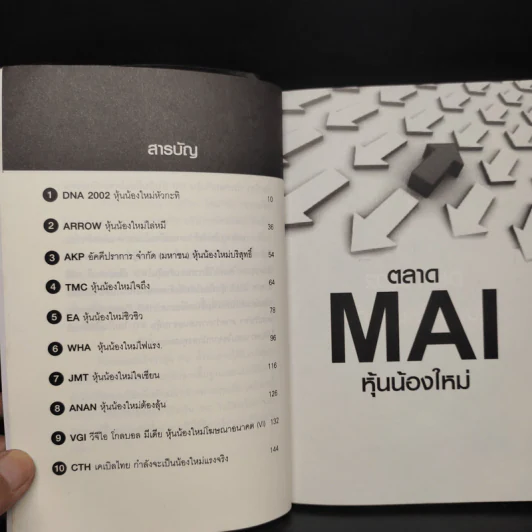หุ้นน้องใหม่อนาคต VI รับอาเซียน - วลัย ชูธรรมธัช รูปที่ 6
