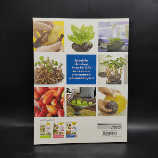 สวนกระถางจากเมล็ดผักผลไม้ เล่ม 2 - Huilan Lin รูปที่ 2