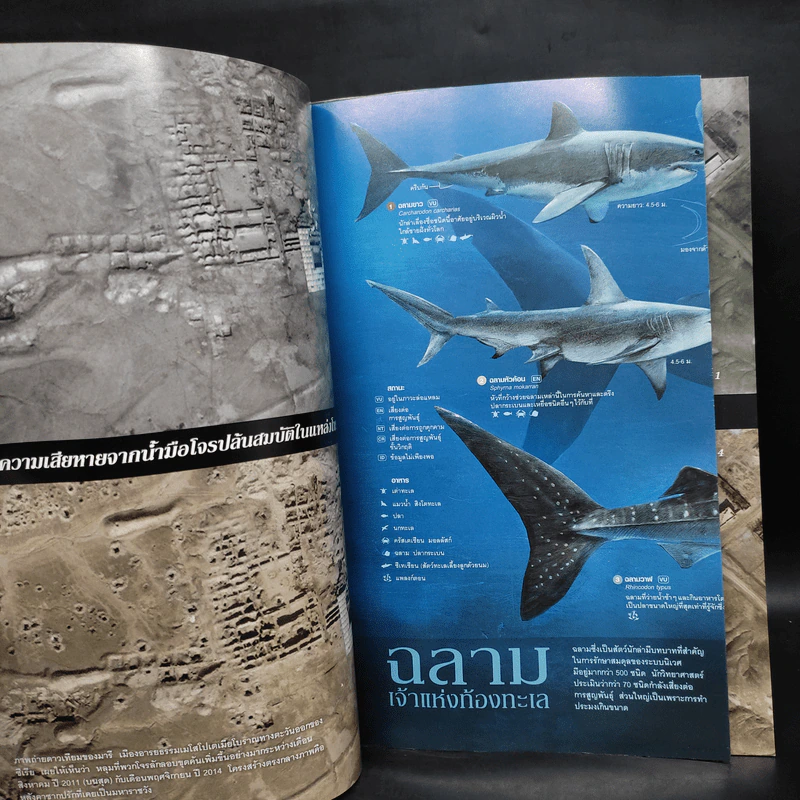 National Geographic ฉบับที่ 179 มิ.ย.2559 โจรปล้นสมบัติ รูปที่ 7