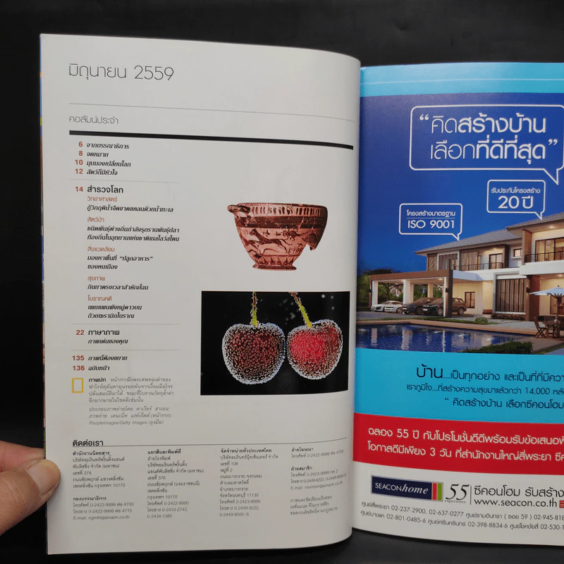 National Geographic ฉบับที่ 179 มิ.ย.2559 โจรปล้นสมบัติ รูปที่ 6