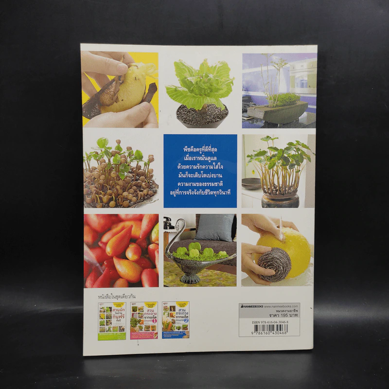 สวนกระถางจากเมล็ดผักผลไม้ เล่ม 2 - Huilan Lin รูปที่ 2