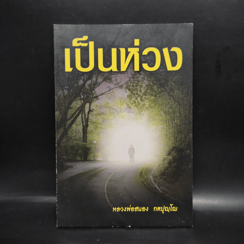 เป็นห่วง - หลวงพ่อสนอง กตปุญโญ รูปที่ 1