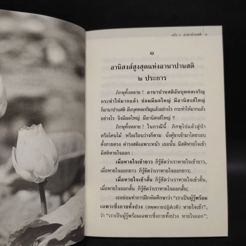 พุทธวจน อานาปานสติ - ตถาคต รูปที่ 8