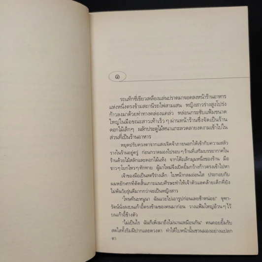 ตามรักคืนใจ - กิ่งฉัตร รูปที่ 6