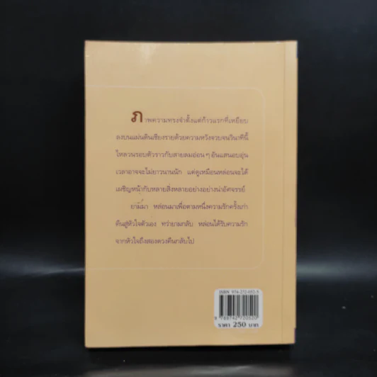 ตามรักคืนใจ - กิ่งฉัตร รูปที่ 2