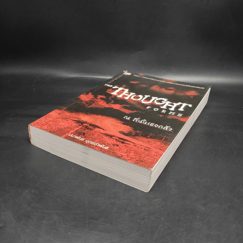 ณ ที่นั้นเธอกลัว The Thought Forms - ปนาพันธ์ นุตร์อำพันธ์ รูปที่ 4