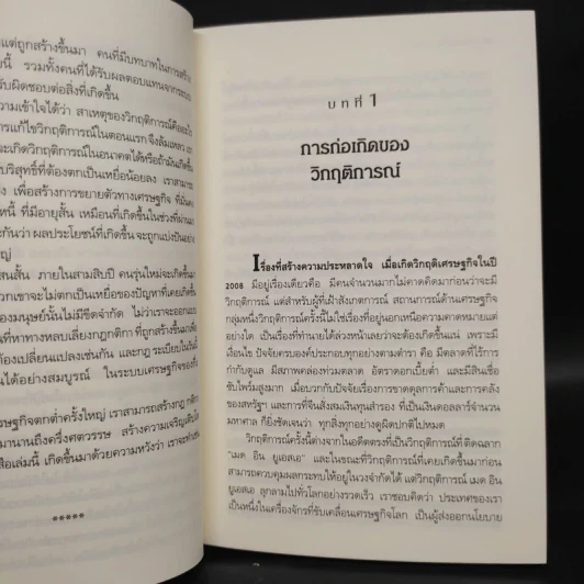 Freefall: รากเหง้า-ทางออกแห่งวิกฤติการณ์การเงินโลก - Joseph E. Stiglitz รูปที่ 6