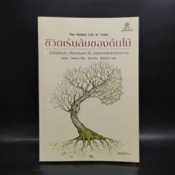 ชีวิตเร้นลับของต้นไม้ - เพเทอร์ โวลเลเบน รูปที่ 1