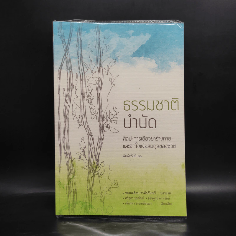 ธรรมชาติบำบัด ศิลปะการเยียวยาร่างกายและจิตใจเพื่อสมดุลของชีวิต รูปที่ 1