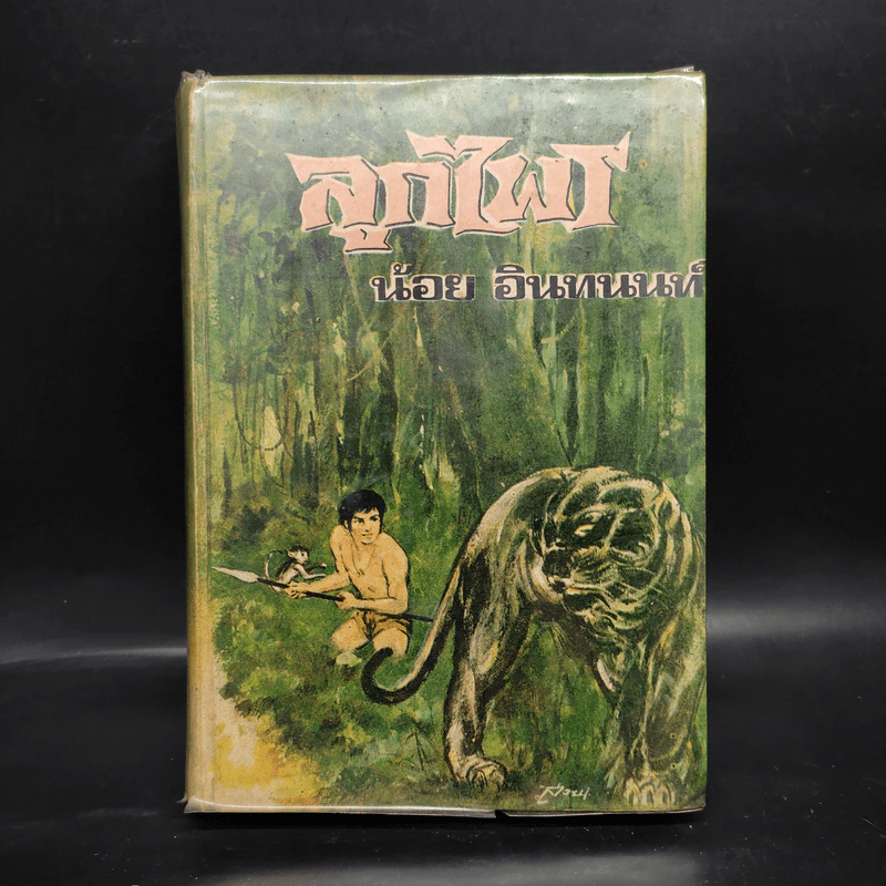 ลูกไพร - น้อย อินทนนท์ รูปที่ 1