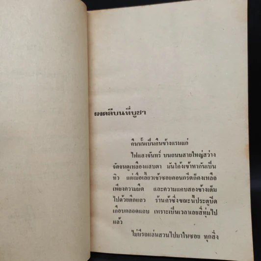 ผงคลีบนที่บูชา - กฤษณา อโศกสิน รูปที่ 6