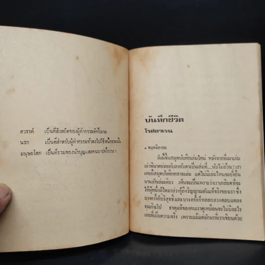 บันทึกชีวิต - โรสลาเรน รูปที่ 6