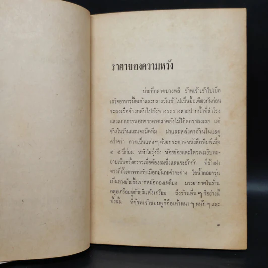 เพียงประดิ่นแหล่งหล้า บารนี - อุษณา เพลิงธรรม รูปที่ 6