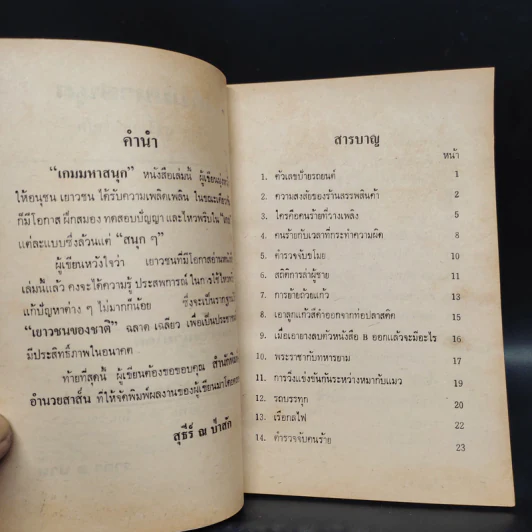เกมมหาสนุก - สุธีร์ ณ ป่าสัก รูปที่ 6