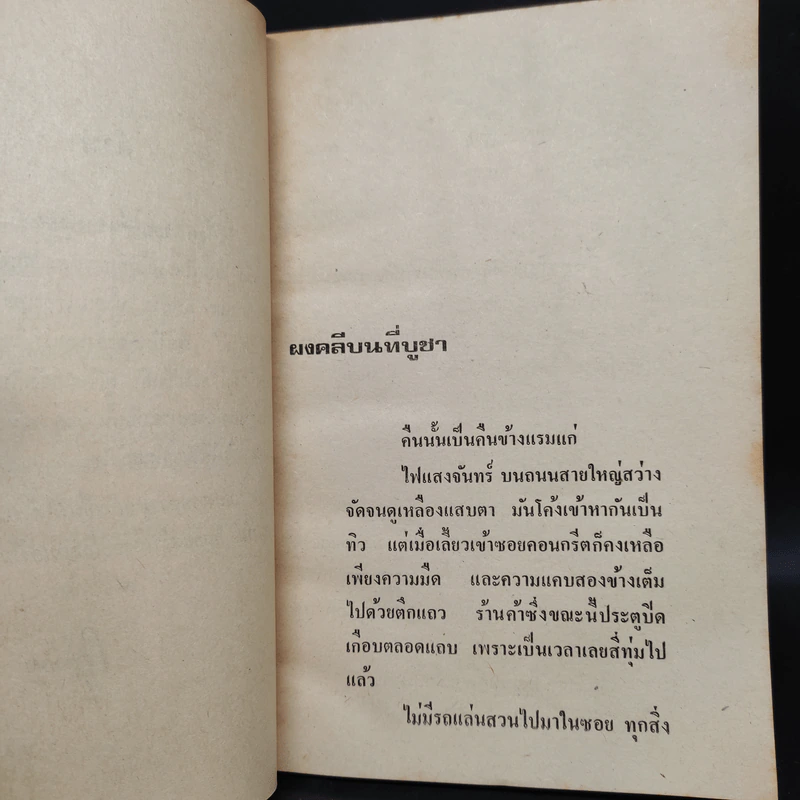 ผงคลีบนที่บูชา - กฤษณา อโศกสิน รูปที่ 6