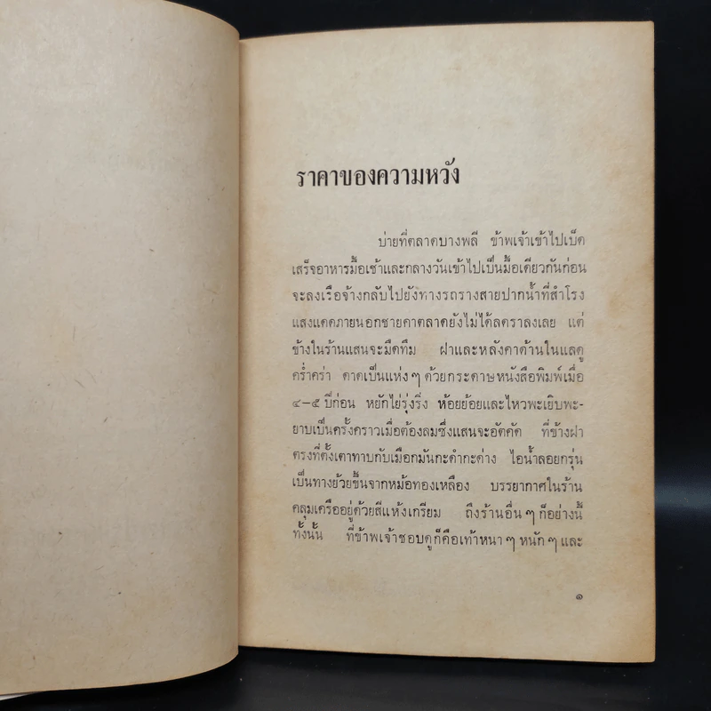 เพียงประดิ่นแหล่งหล้า บารนี - อุษณา เพลิงธรรม รูปที่ 6