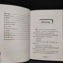 อาหารเครื่องแกง - อ.ยุวดี จอมพิทักษ์ รูปที่ 7