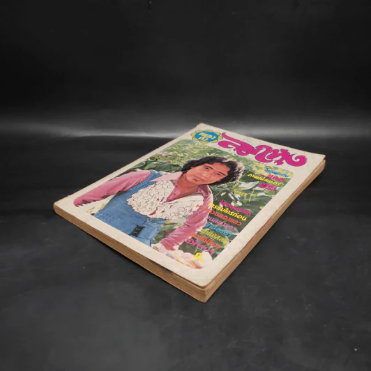 เพลงดังลูกทุ่ง ฉบับที่ 2 รูปที่ 4