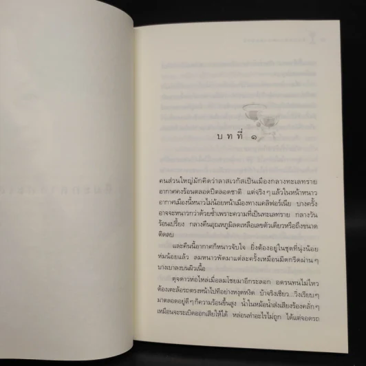 หิมะกลางทะเลทราย - กิ่งฉัตร รูปที่ 6