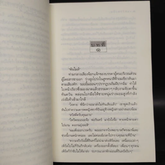 เสราดารัล - กิ่งฉัตร รูปที่ 6