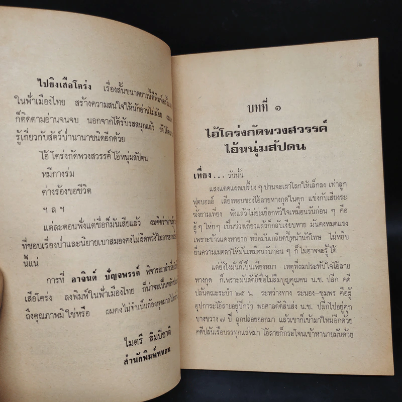 ไปยิงเสือโคร่ง - คำพูน บุญทวี รูปที่ 6
