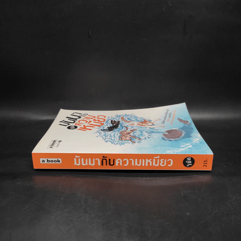 มันมากับความเหมียว - วิชัย รูปที่ 3