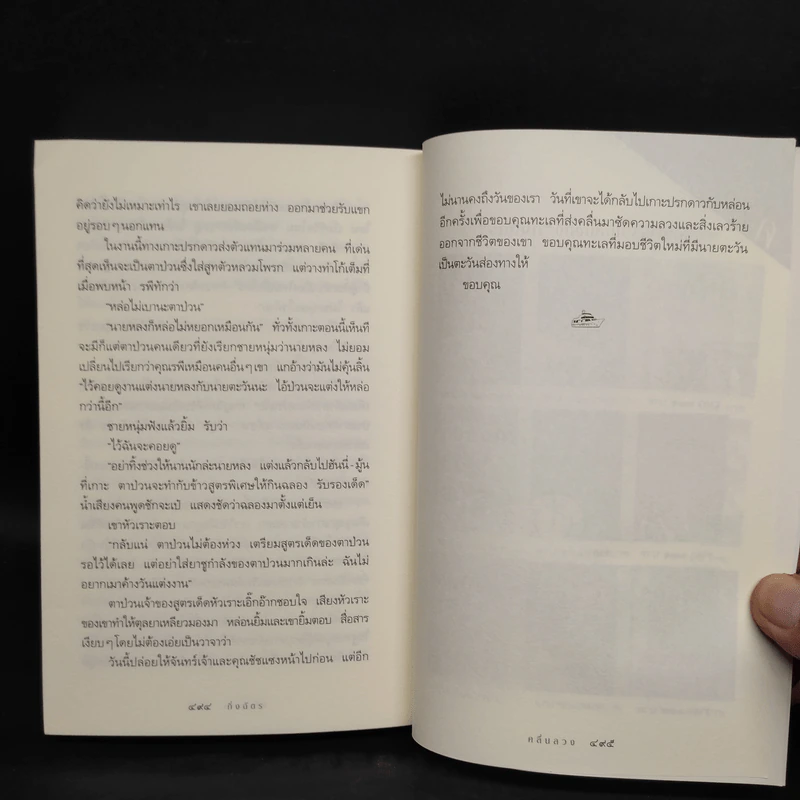 คลื่นลวง - กิ่งฉัตร รูปที่ 8