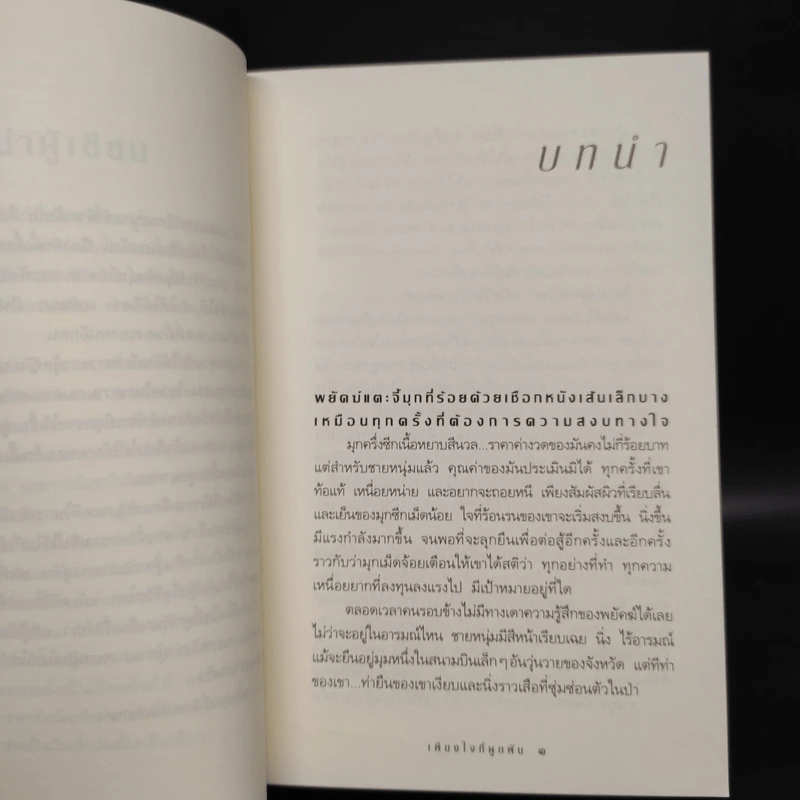 เพียงใจที่ผูกพัน - กิ่งฉัตร รูปที่ 7