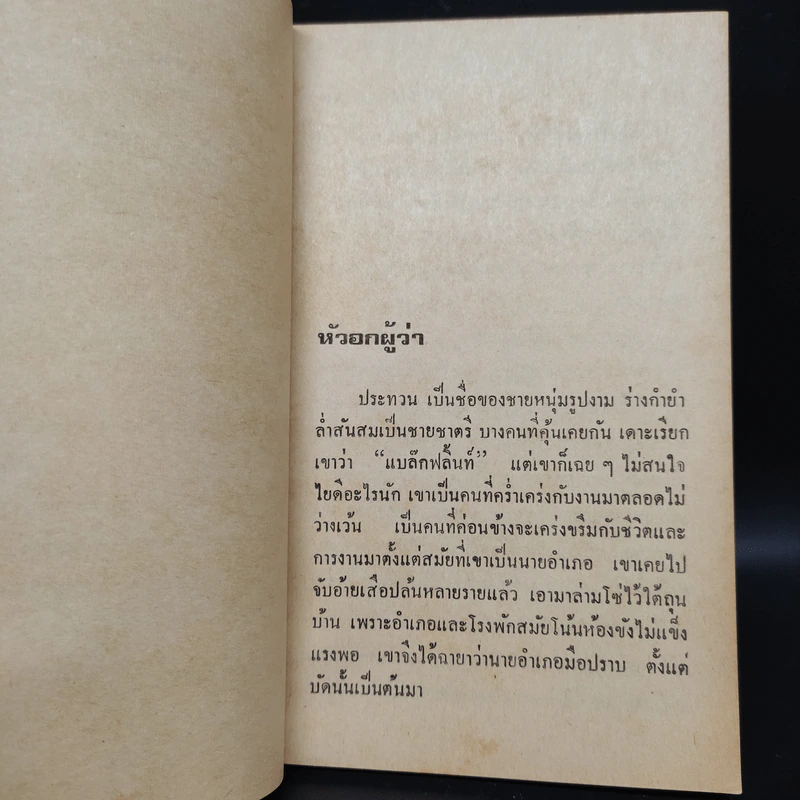 หัวอกผู้ว่า - ปัญญา ฤกษ์อุไร รูปที่ 6