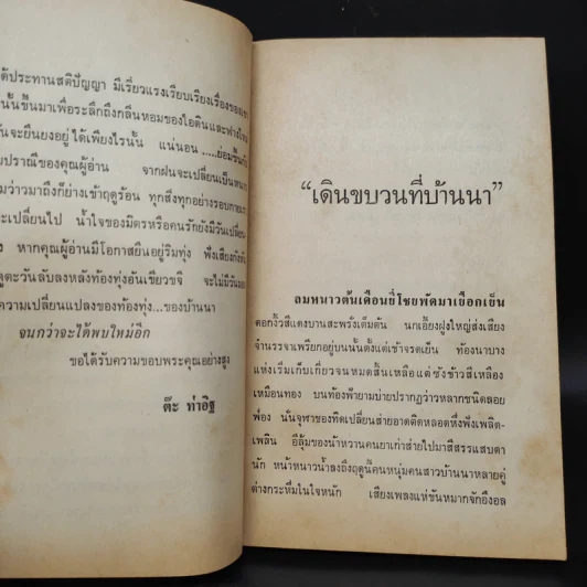 คนเสเพลแห่งท้องทุ่ง พระจันทร์ตกคลอง - ต๊ะ ท่าอิฐ รูปที่ 6